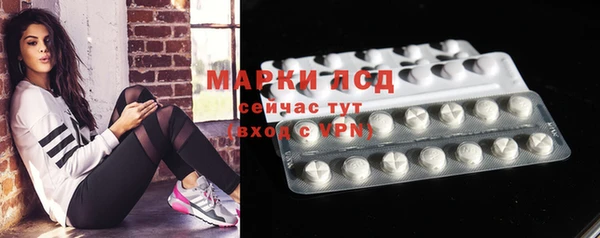 трава Абаза